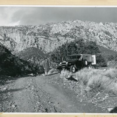 Print, Photographic