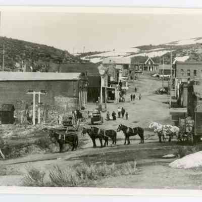 Print, Photographic