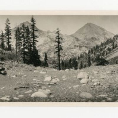 Print, Photographic