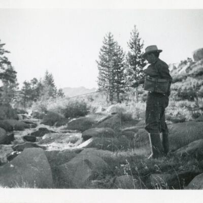 Print, Photographic
