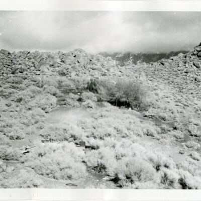 Print, Photographic