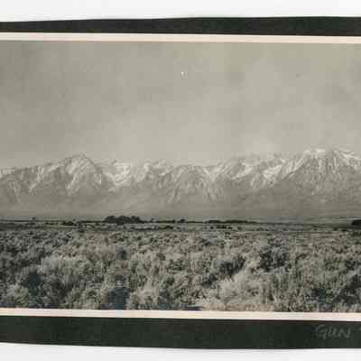 Print, Photographic