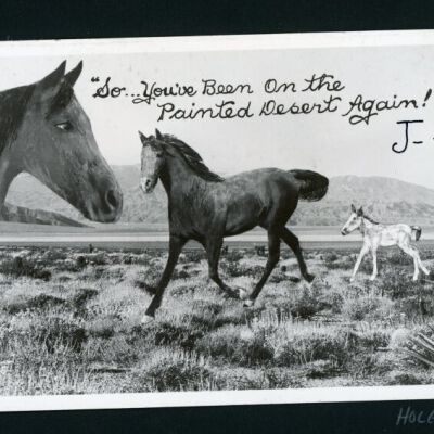 Print, Photographic