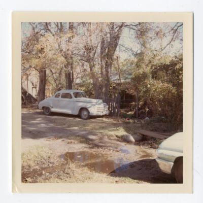 Print, Photographic