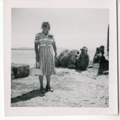 Print, Photographic