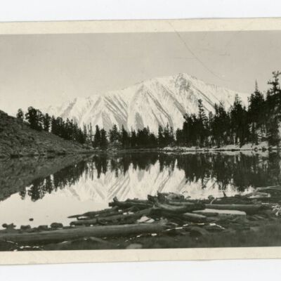 Print, Postcard