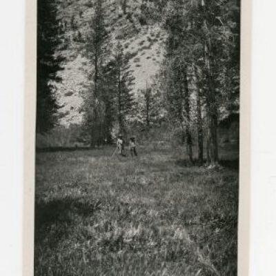 Print, Photographic