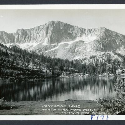 Print, Photographic