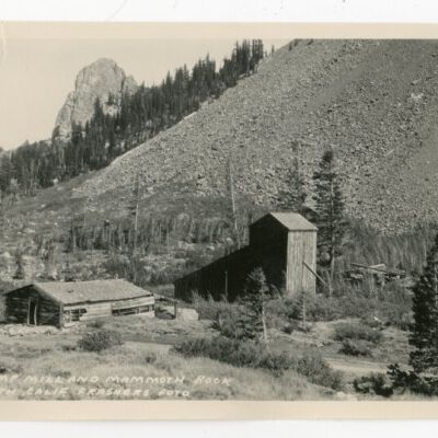 Print, Photographic
