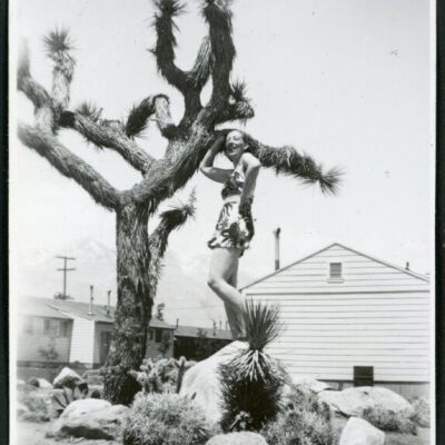 Print, Photographic