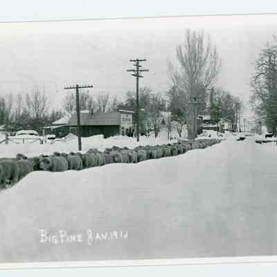 Big Pine, Jan. 1916