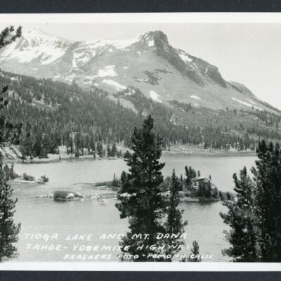 Print, Photographic