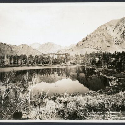 Print, Photographic