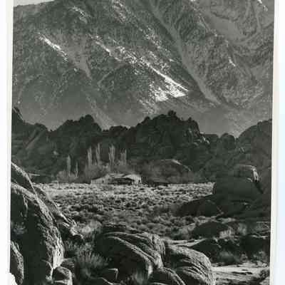 Print, Photographic