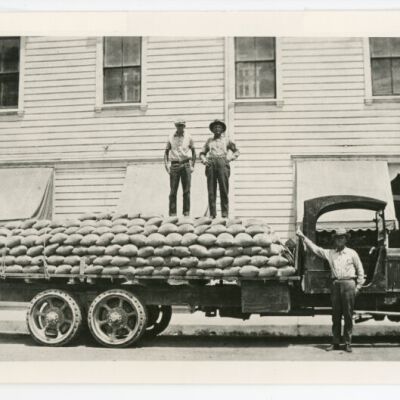 Print, Photographic