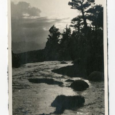 Print, Photographic