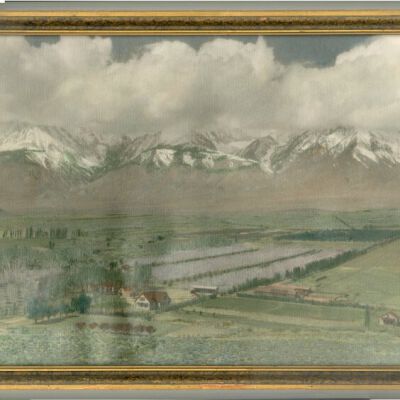 Print, Photographic