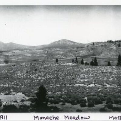 Monache Meadow