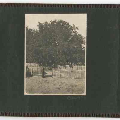 Print, Photographic