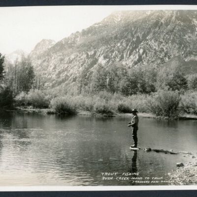 Print, Photographic