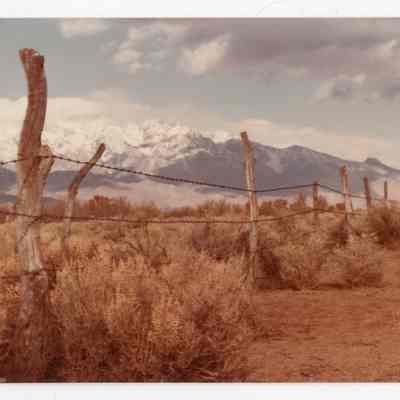 Print, Photographic