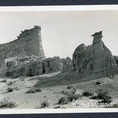 Print, Photographic