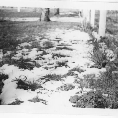 Print, Photographic