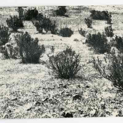 Photocopy