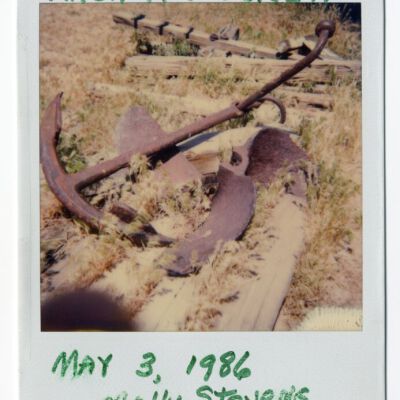 Print, Photographic