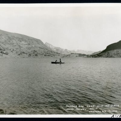 Print, Photographic