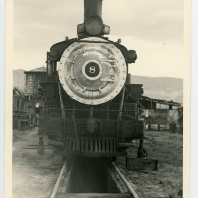 Print, Photographic