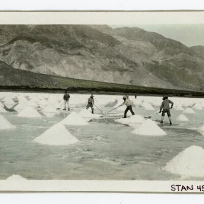 Print, Photographic