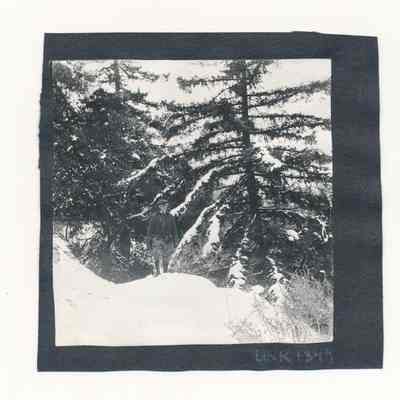 Print, Photographic