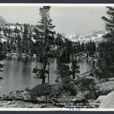 Print, Photographic