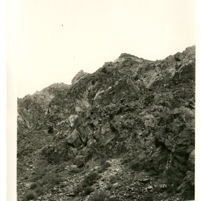 Print, Photographic