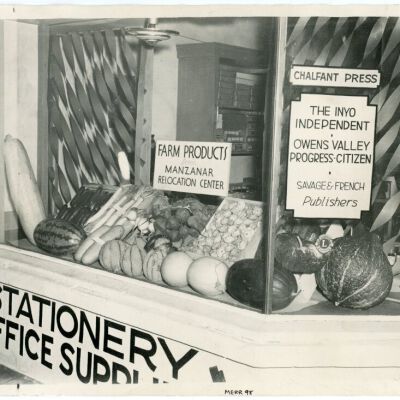 Print, Photographic