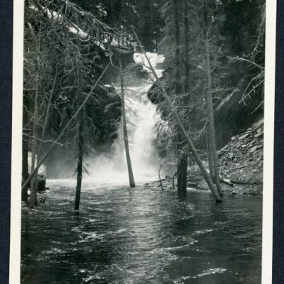 Print, Photographic