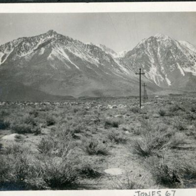 Print, Photographic