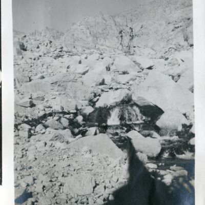 Print, Photographic