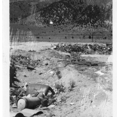 Print, Photographic