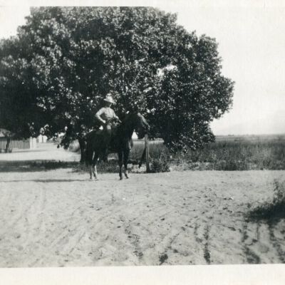 Print, Photographic