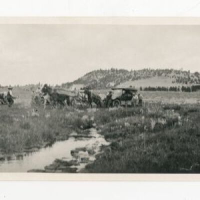 Print, Photographic
