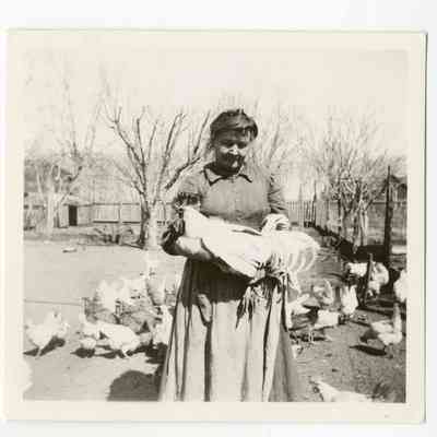 Print, Photographic