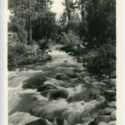 Print, Photographic