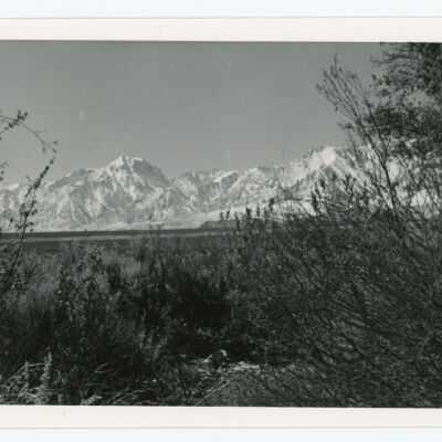 Print, Photographic