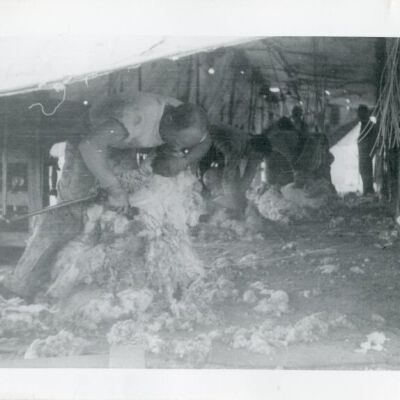 Print, Photographic