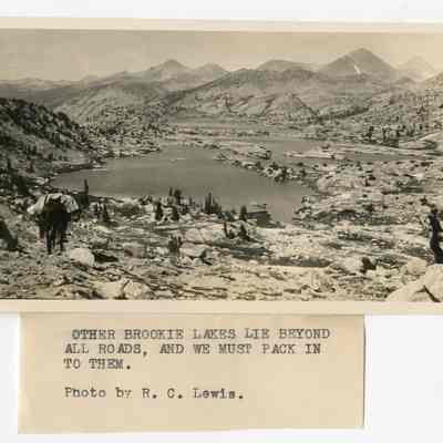Print, Photographic