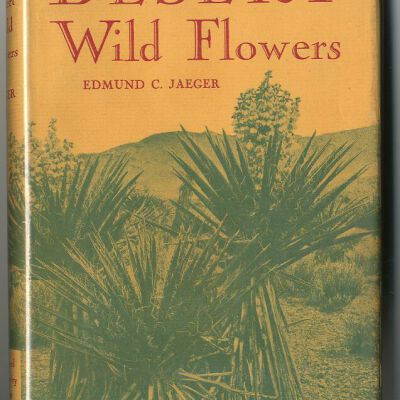 Desert Wild Flowers