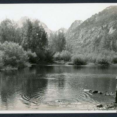 Print, Photographic