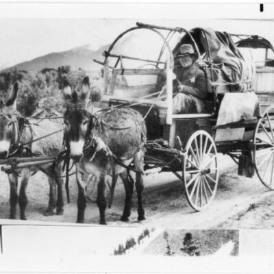 Print, Photographic